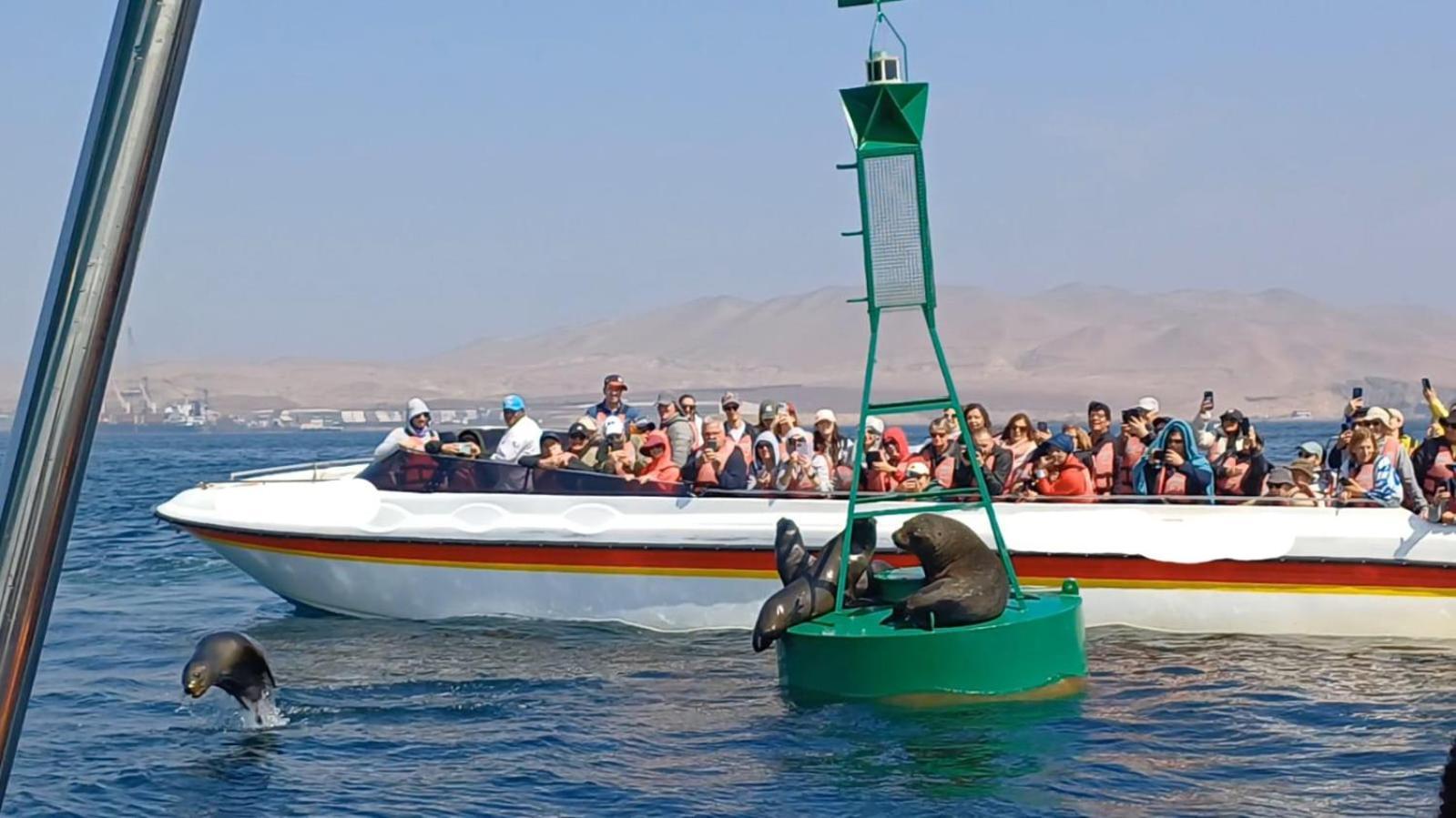 Arena Hostal Paracas Eksteriør bilde